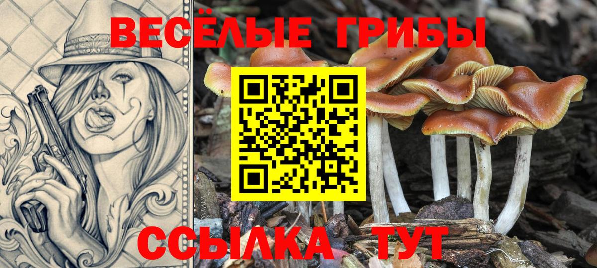 Псилоцибиновые грибы MAGIC MUSHROOMS Абакан