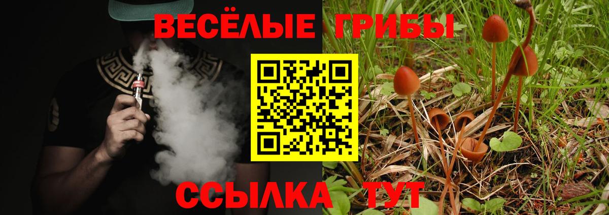 Псилоцибиновые грибы мицелий  Псилоцибиновые грибы прущие грибы  Вход с VPN  где купить наркотик  Абакан 